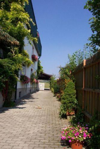 Pension Haus Bohm Gumpoldskirchen Esterno foto