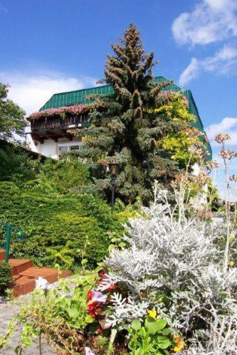 Pension Haus Bohm Gumpoldskirchen Esterno foto